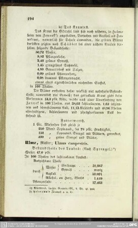 Ulme, Rüster; Ulmus campestris