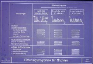 Fütterungsprogramme für Milchvieh