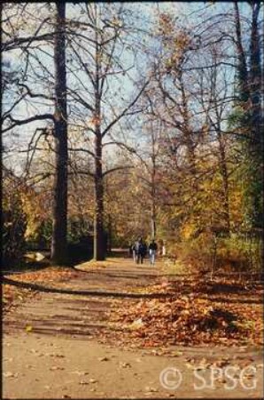 Potsdam, Park Sanssouci, Bullenwiese.