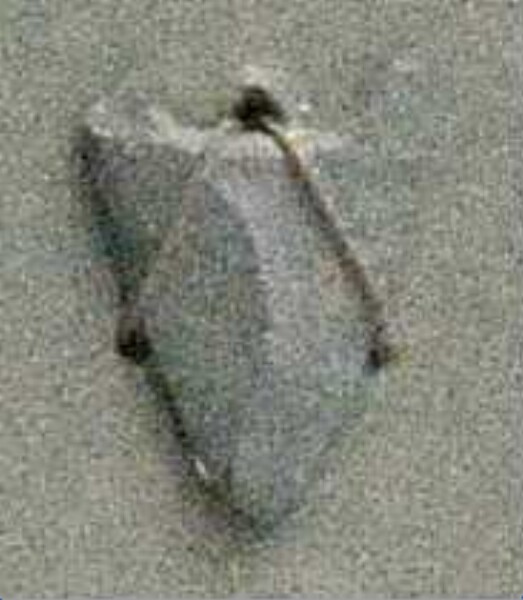 Stone arrowhead