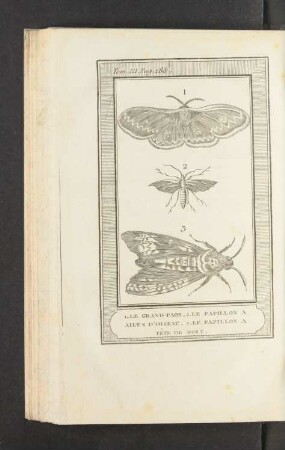 Tafel: 1. Le grand paon. 2. Le papillon à ailes d'oiseau. [...]