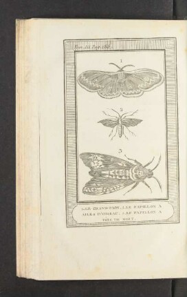 Tafel: 1. Le grand paon. 2. Le papillon à ailes d'oiseau. [...]
