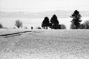 Höchenschwand: Ort und Straße mit Alpenpanorama