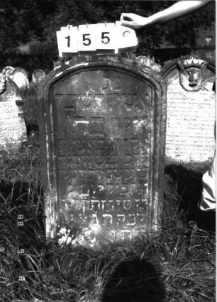 Grabstein 1556 (Index: 100097956) Maße HxBxT: 108x60x13 cm: Grabstein 1556