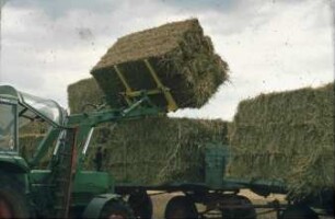 Fotografie: Strohbergung, Quaderballen, Transport, Frontlader, Be- und Entladen, Transportgerät, Zweiachsanhänger