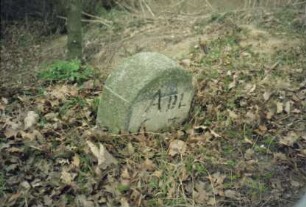 Wolkenwehe: bei Grenze zu Nütschau: an Kreisstraße 64 (Lindenstraße): Grenzstein [Nr. 70] zwischen Adligem Gut Blumendorf und Adligem Gut Nütschau: Stein vor Ausgraben