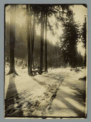 Wintersonnenglanz im Harz
