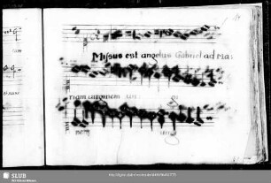 Ludwig Senfl: Missus est angelus Gabriel ad Mariam virginem