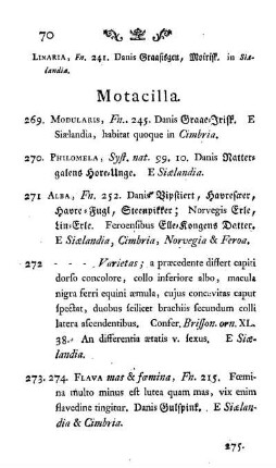 Motacilla