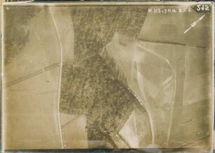 Foto des Waldes von Buire südlich von Templeux-la-Fosse (Luftbild)