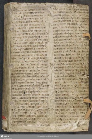 Ordinationszeugnis für Joachim von Bergk - Mscr.Dresd.C.59,2