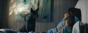Los Perros