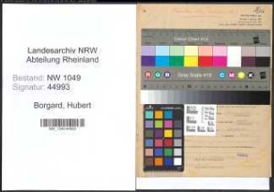 Entnazifizierung Hubert Borgard , geb. 19.04.1904 (Landwirt)