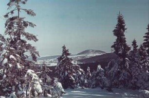 Thüringer Wald. Winterlandschaft