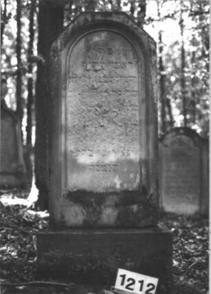 Grabstein 1212 (Index: 99899981) Material: Sandstein Zustand: stark verwittert Maße HxBxT: 139x54x14 cm Beschreibung: aufgesockelte Stele mit oben abgeflachtem Dreiecksabschluss, Schriftfeld rundbogig eingetieft: Grabstein 1212