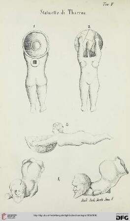 Nr. 6 (Giugno 1859)
