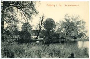 Freiberg. Am Hammerteich