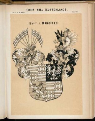 Taf. 41. Grafen v. Mansfeld.