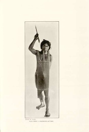 Plate CXXIX. A warrior's attack