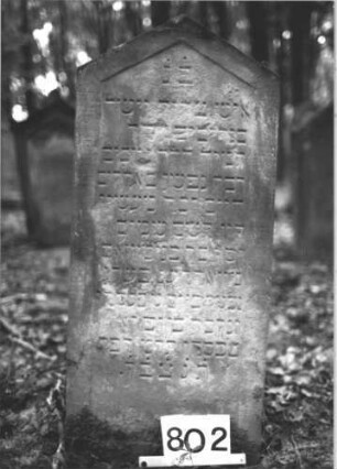 Grabstein 802 (Index: 99899176) Material: Sandstein Zustand: stark verwittert Maße HxBxT: 106x44x12 cm Beschreibung: Stele mit Dreiecksabschluss: Grabstein 802