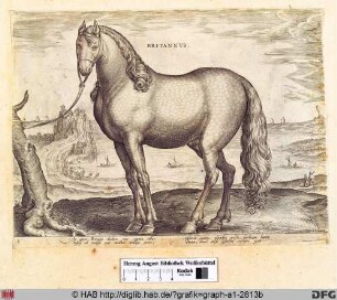 Britannus.