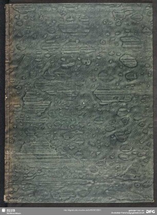 Chronica Zena (Fragment) - Mscr.Dresd.F.20
