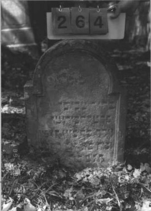 Grabstein 264 (Index: 99609900) Material: Sandstein Zustand: verwittert, leicht eingesunken Maße HxBxT: 70x50x12 cm Beschreibung: Stele, eingezogener Rundbogenabschluß, Schriftfeld eingetieft Besonderheit: Kindergrab: Grabstein 264
