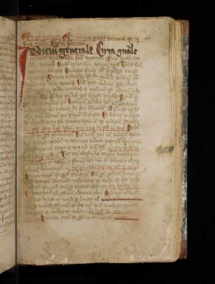 Reinerus de Pisis: Pantheologia.