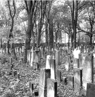 Grabsteine auf dem Jüdischen Friedhof