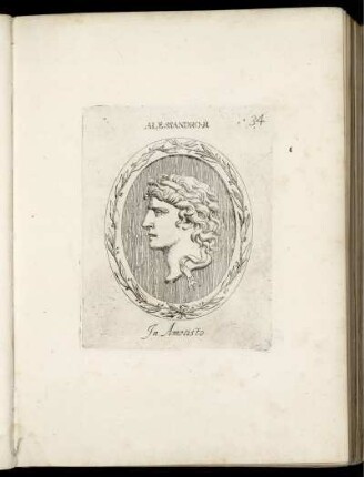Alessandro M.