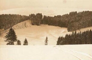Erzgebirge. Blick über das Weißbachtal bei Hermsdorf (Nähe Gasthof "Zollhaus")