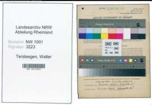 Entnazifizierung Walter Tersteegen, geb. 09.02.1909 (Vertreter)