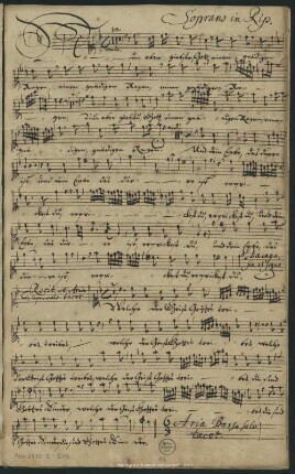 Soprano in Rip.