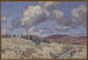 Heide