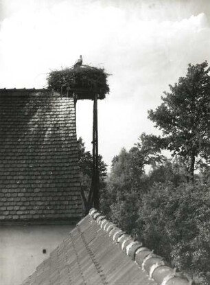Storchennest auf Dachgiebel