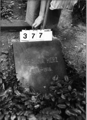 Grabstein 377