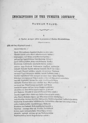 Inscriptions in Roman script