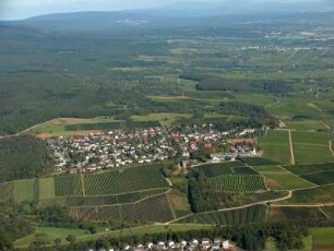 Schloßheide (Pfalz)