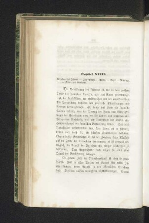 Capitel XVIII.