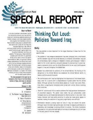 Thinking out loud : policies toward Iraq