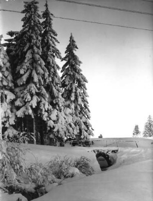 Osterzgebirge. Tief verschneiter Wassergraben mit Brücke im Kahleberggebiet