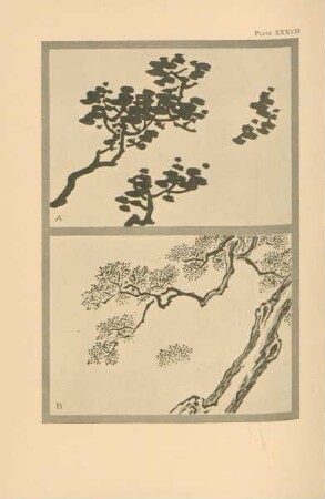Plate XXXVII