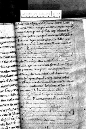 Buchseite, Folio 167 recto