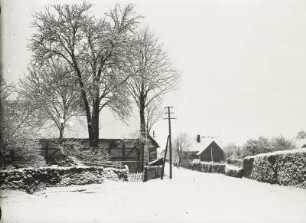 Dorfstraße mit Gehöften