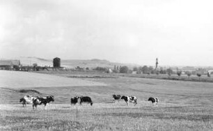 Görlitz. Klostermühle des Klosters Marienthal