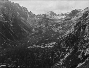 Wald im Gebirgstal : Blick in ein Gebirgstal mit Wald