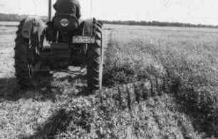 An Seitenmähwerk angebaute Schwadeinrichtung