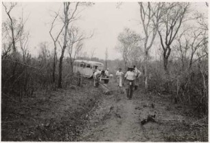 Weg zwischen der Fazenda Arara und Santo Antônio