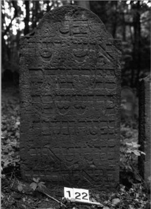 Grabstein 122 (Index: 99803115) Material: Sandstein Zustand: gut, Seitenakroterien abgebrochen Maße HxBxT: 125x68x12 cm Beschreibung: Stele mit eingezogenem Rundbogen und Seitenakroterien: Grabstein 122