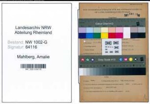 Entnazifizierung Amalie Mahlberg, geb. 16.03.1891 (Schneiderin)